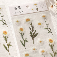 Yoofun Daisy Clover Babysbreath Fern Transparent PET Stickers | Floral Plant Sticker S close-up view