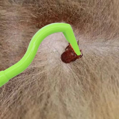 Pet Flea Remover Hook Tick Removal Tweezer - Dog Cat Tick Extractor Comb Louse Pliers close-up view
