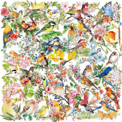50PCS Transparent INS Watercolor Bird Sticker Pack - Waterproof PET for Scrapbooking, Guitar & Noteb