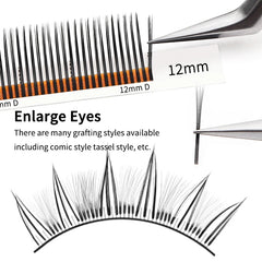 Winky Beauty 5D Flora Lashes 0.07mm Easy Fan Eyelash Extensions | Premade Volume 12 Ro close-up view