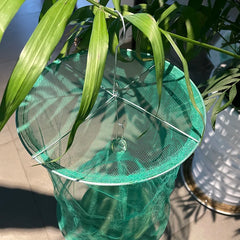 Reusable Fly Catcher Pest Control | Hanging Trap for Flies, Mosquitoes, and Moths detail view