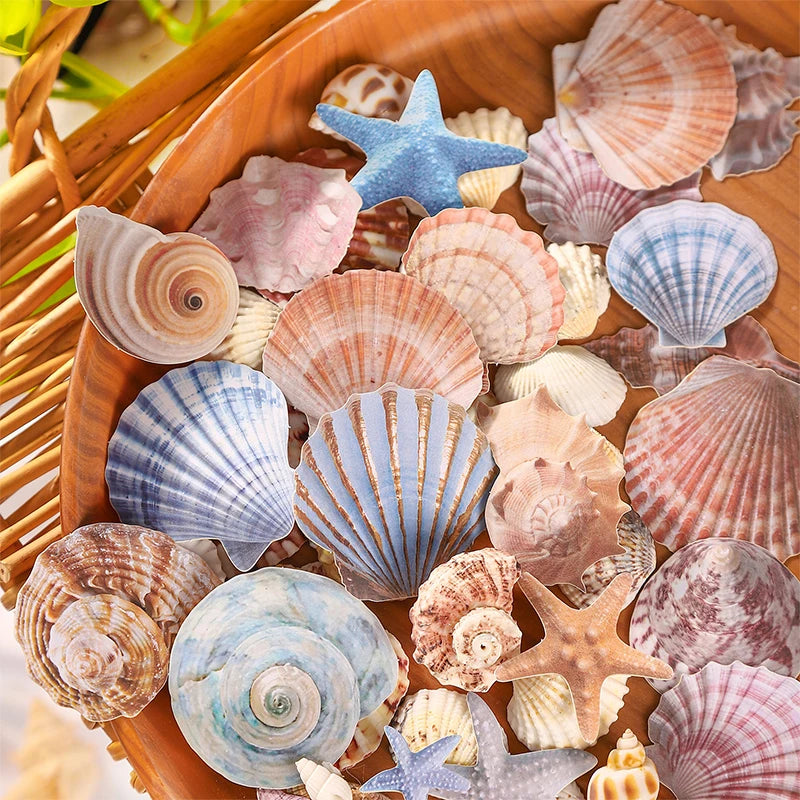 Journal GO 30pcs Vintage Conch Shell Sticker Scrapbooking Marine Life Stationery Stickers for Collag