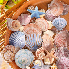 Journal GO 30pcs Vintage Conch Shell Sticker Scrapbooking Marine Life Stationery Stickers for Collag