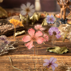 Journal GO 50pcs Dried Flower Collection PET Stickers Decorative Handmade Scrapbooking Material Diary Album Craft Card DIY Label