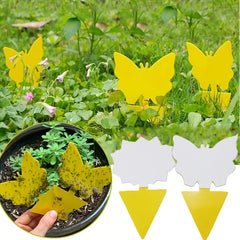 Sticky Traps for Fungus Gnats, Fruit Flies & Mosquitoes | Indoor Outdoor Bug Control