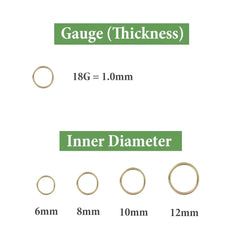 2/8PCS 18G 316L Stainless Steel Nose Ring Hoop Earrings for Women Men Septum Helix Tragu detail view