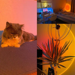 USB Sunset Light LED Rainbow Night Lamp | Photography Wall Atmosphere Decor close-up view