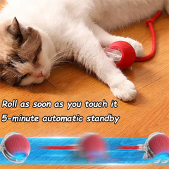 Cat toys are automatically teasing cat balls detail view
