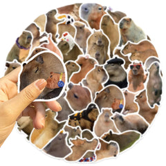 50Pcs Cartoon Capybara Graffiti Stickers | Waterproof Decals for Guitars, Laptops, and L detail view