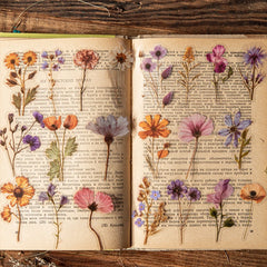Journal GO 50pcs Dried Flower Collection PET Stickers Decorative Handmade Scrapbooking Material Diary Album Craft Card DIY Label