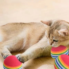 Ball Interactive Cat Dog Play Chewing Rattle Scratch Ball Training Balls Pet Toys close-up view