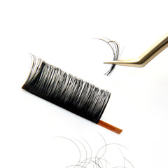 12-Row Eyelash Extension Tray | C/CC/D/DD Curl Volume Lashes for Professionals detail view