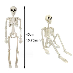 Halloween Decorations Skeleton,Posable Human Shape Skeleton,Halloween Fake Bone Horror close-up view