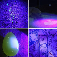UV LED Flashlight 395nm Blacklight | Portable Pet Urine Detector & Scorpion Finder close-up view