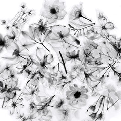 50 Transparent Flower Stickers | PET Decorative Craft Set for Journals and Notebooks detail view