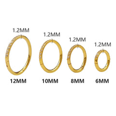 Stainless Steel Nose Ring CZ 16G Hinged Septum Clicker Segment Ear Tragus Cartilage Heli detail view