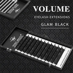Winky Beauty Individual Eyelash Extensions | Soft Faux Mink Lashes for Volume