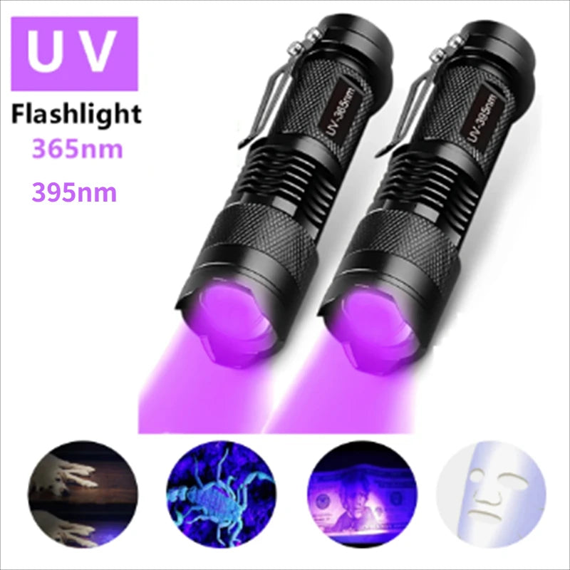 Portable UV Flashlight 365-395nm | Black Light Ultraviolet Zoomable Torch for Pet Urine and Stain De
