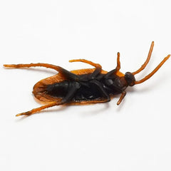 5-50Pcs Special Lifelike Model Simulation Fake Rubber Cock Cockroach Roach Bug Roaches close-up view