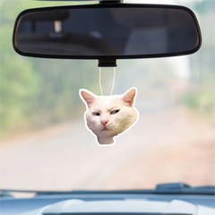 Funny Cat Design Car Rearview Mirror Pendant Aromatherapy Tablet