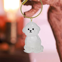 Clear Pet Hair Memorial Keepsake Capsule Dog Fur Container DIY Pendant Keychain Decor alternate view