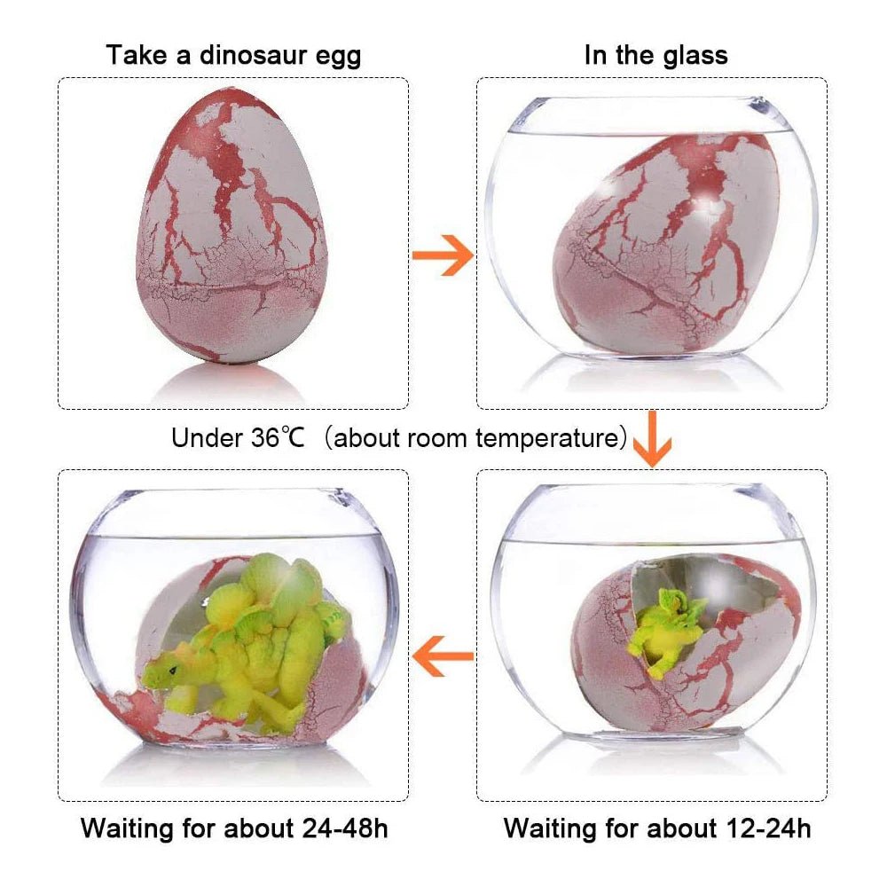 12PCS Dinosaur Eggs – Grow in Water Hatching Science Kit - Onlytenbucks.com