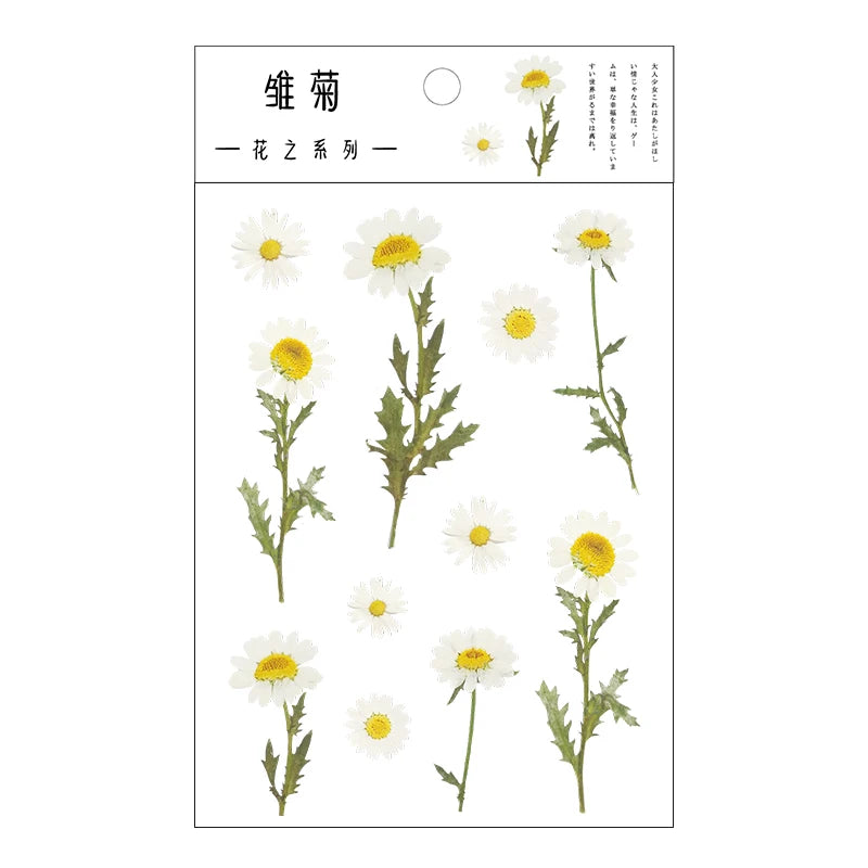 Yoofun Daisy Clover Babysbreath Fern Transparent PET Stickers | Floral Plant Sticker Set detail view