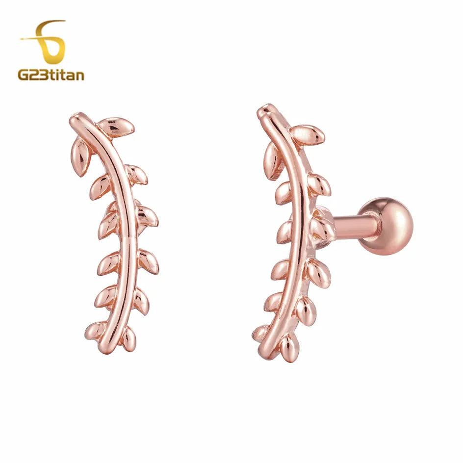 2pc Surgical Steel Ear Cartilage Earlobe Tragus Piercing Ball Bar Rose Gold Color Moon close-up view