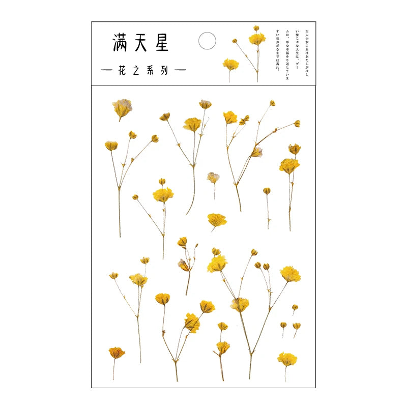Yoofun Daisy Clover Babysbreath Fern Transparent PET Stickers | Floral Plant Sticker S close-up view