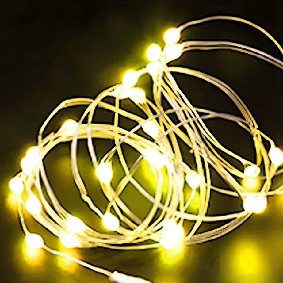 5M LED String Lights Waterproof Led Copper Wire Fairy Lights Battery Operated DIY Wedd close-up view