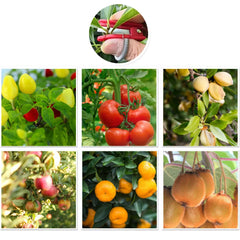 Multifunction Thumb Knife – Garden Pruner