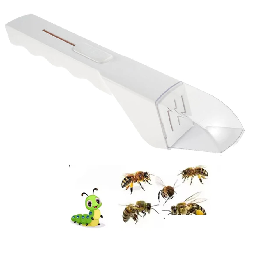 Humane Insect Catcher Viewer | 360° Observation Tool for Kids & Nature Lovers detail view