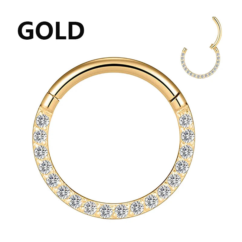 Steel Hinged Segment Hoop CZ Stone Nose Ring Nipple Clicker Ear Cartilage Tragus Heli alternate view