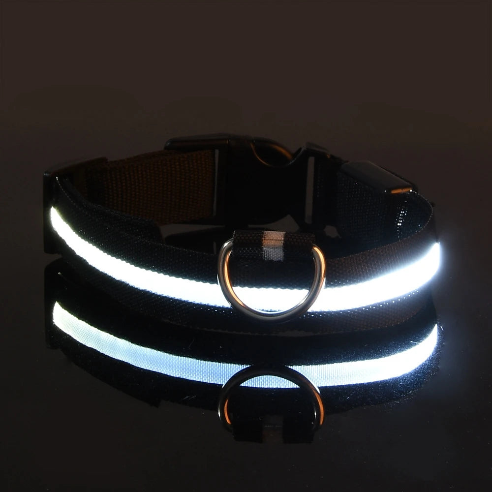 Nylon LED Night Safety Dog Collar detail view