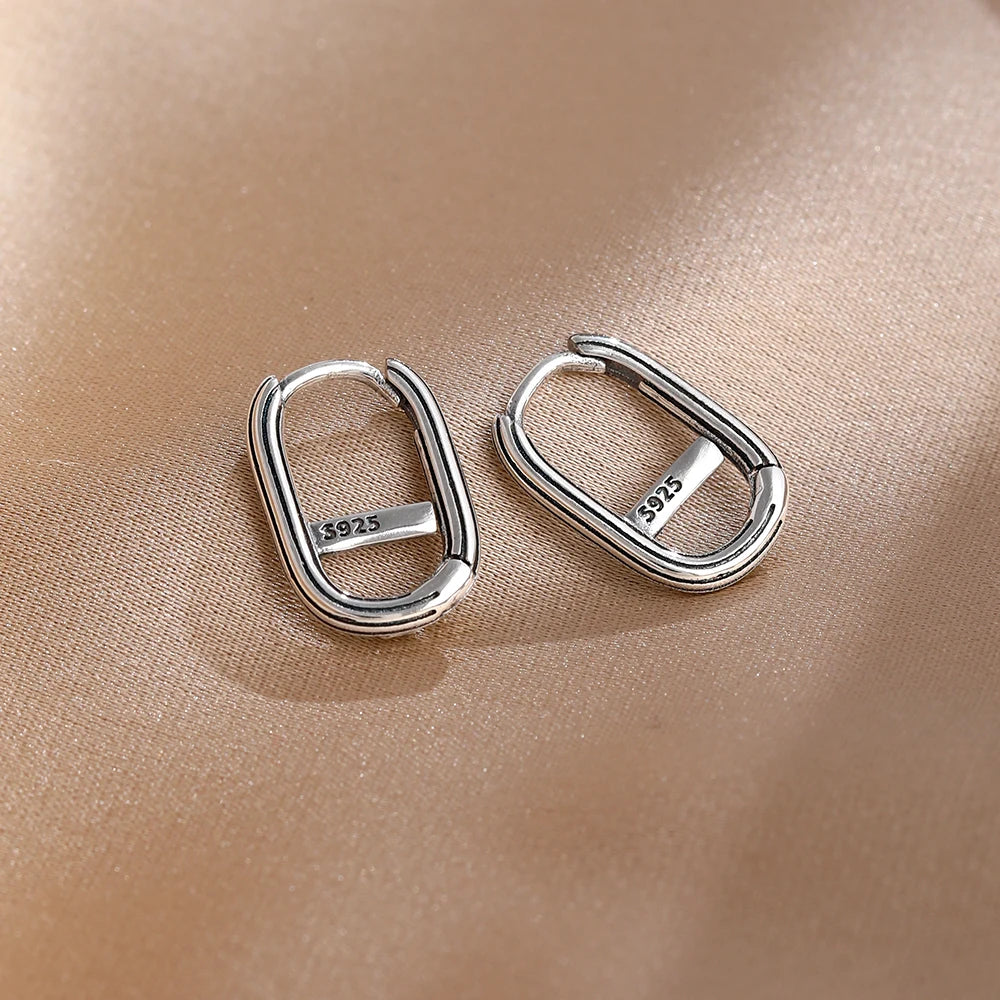 2026 New 925 Silver Butterfly Shining Zircon Heart shaped Earrings Suitable for Europe close-up view