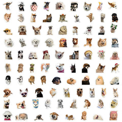 Stickers Cartoon Decals Toy Stationery Guitar Phone Bicycle Laptop Luggage Car Graffit close-up view