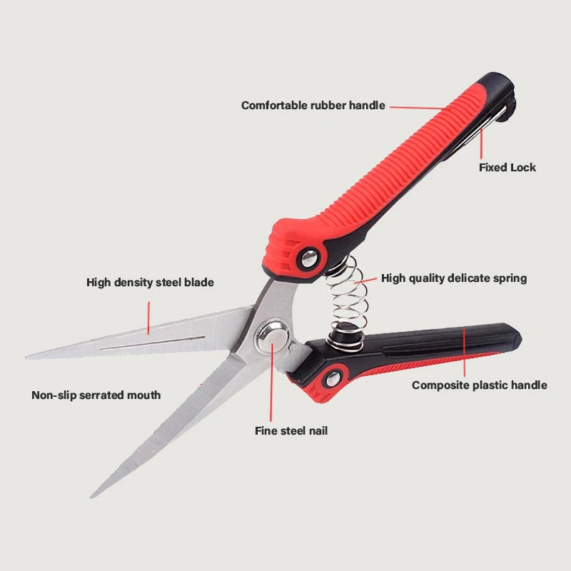 Stainless Steel Pruning Shears – Sharp