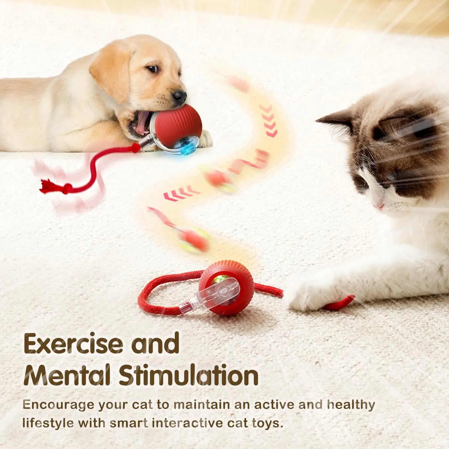 Interactive Smart Cat Toy Ball | Automatic Rolling Ball with Obstacle Avoidance close-up view