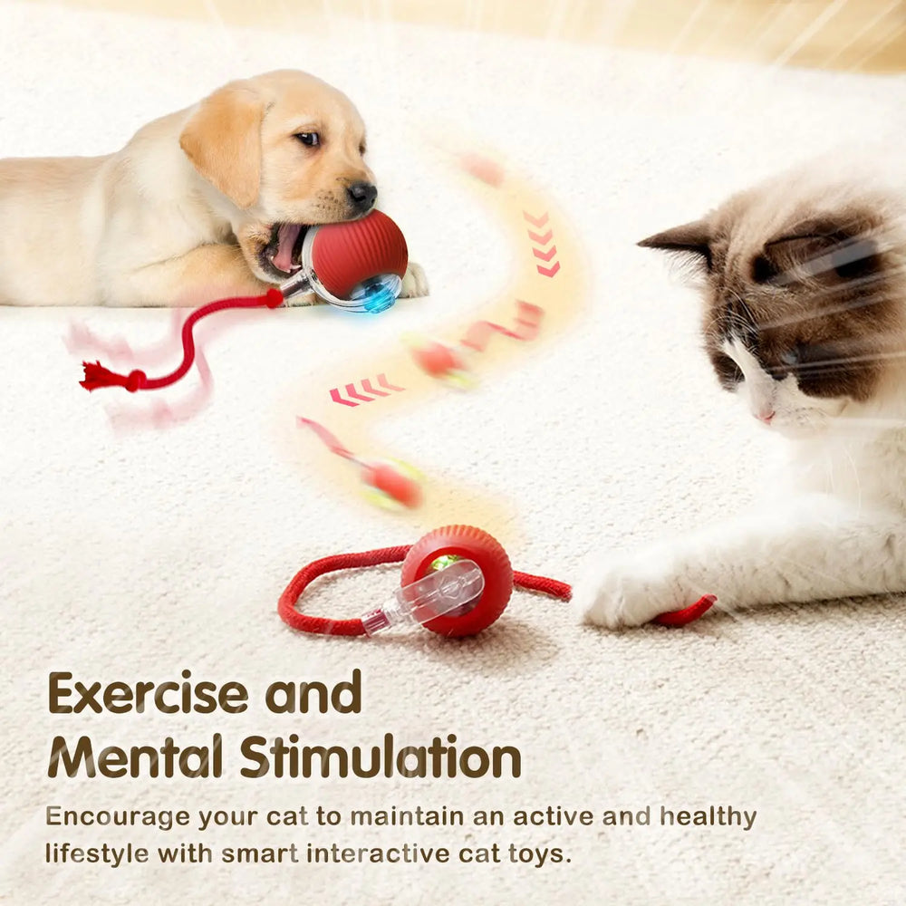 Interactive Smart Cat Toy Ball | Automatic Rolling Ball with Obstacle Avoidance close-up view