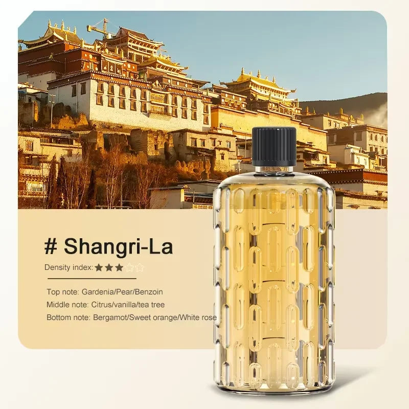 50ml Wall Mounted Aroma Diffuser with Time Setting | USB Rechargeable Air Freshener detail view