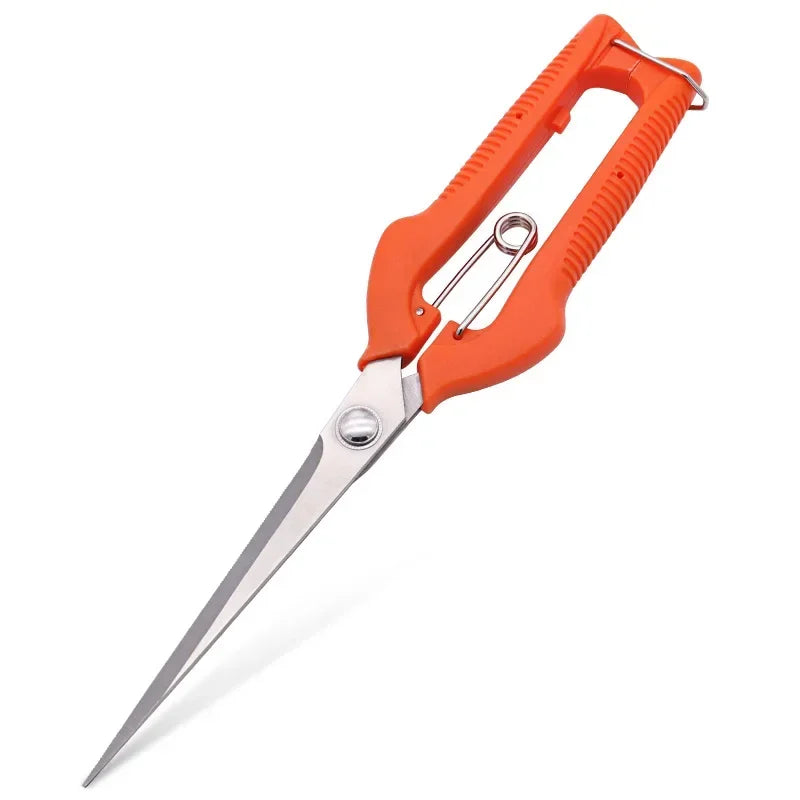 Grape Scissors Pruning Shears | Professional Stainless Steel Garden Tool