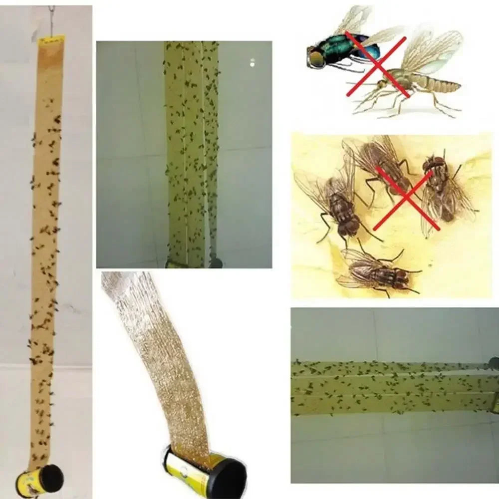 4Pcs/set Sticky Fly Ribbons Roll Double Sided Flies Paper Strips | Insect Bug Home Glu close-up view