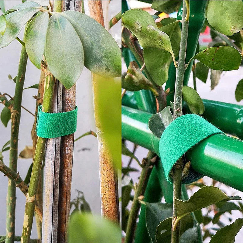 Ties Nylon Plant Bandage Garden Hook Loop Bamboo Cane Wrap Support Garden lifestyle view