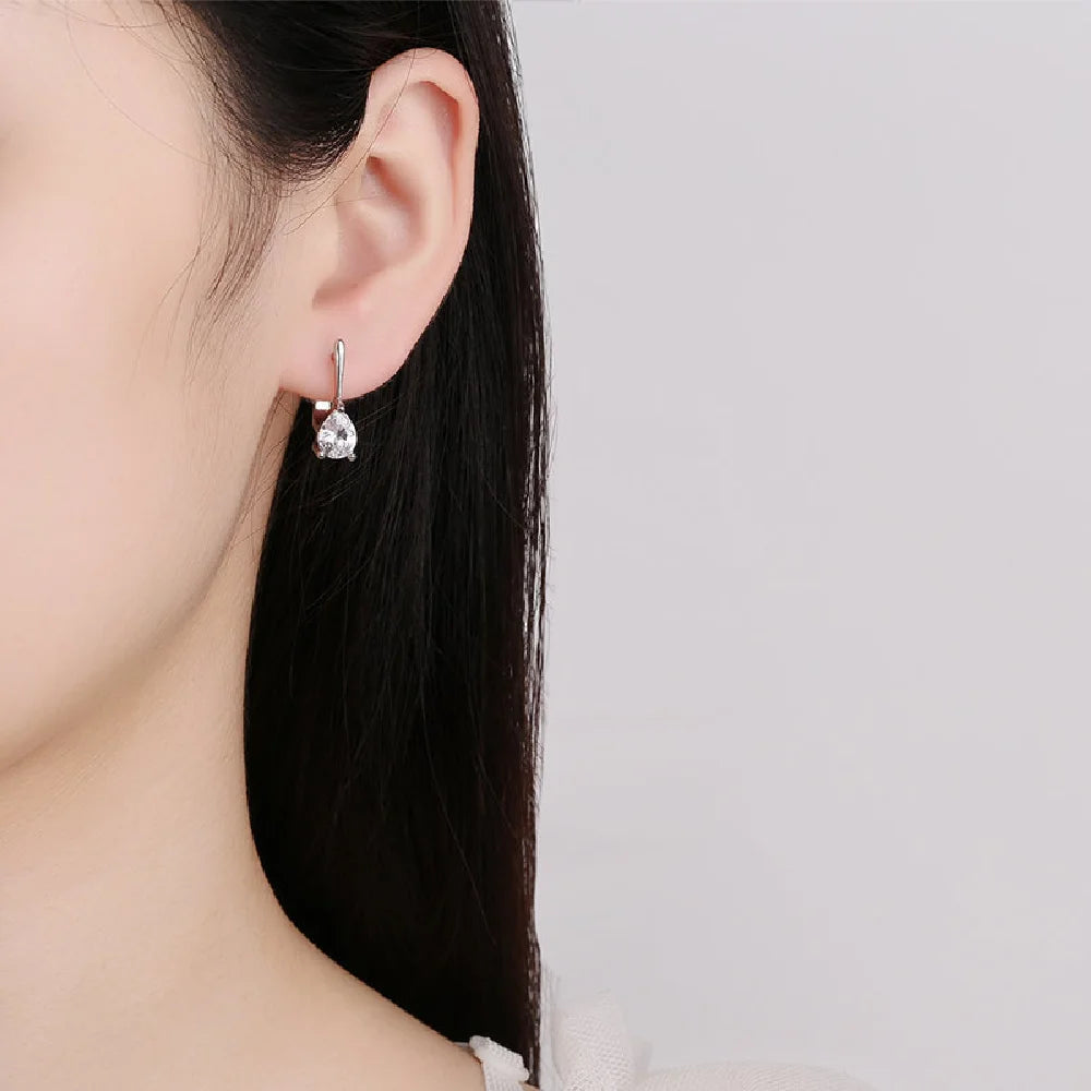925 Sterling Silver Crystal Zircon Earrings For Women High-End Temperament Tassel Earrings Simple And Versatile Earring Jewelry