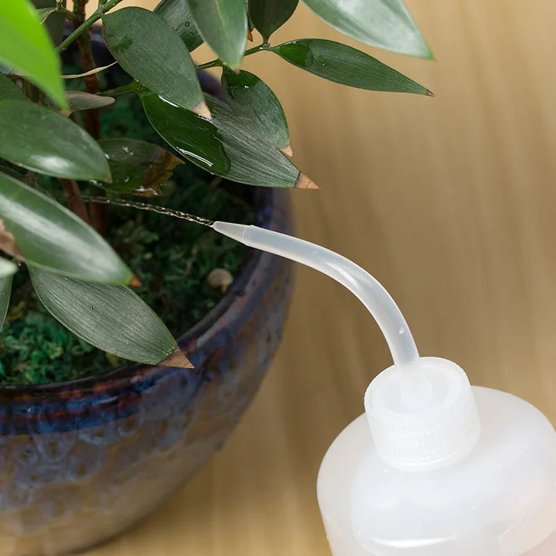 150/250 / 500mL Water Beak Pouring Kettle Tool Succulents Plant Flower Watering Can S lifestyle view