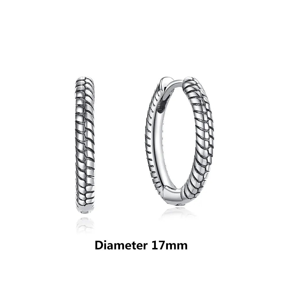 925 Sterling Silver Earrings