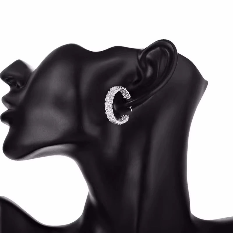 Original Designer 925 Sterling Silver Elegant Crystal Jewelry Fashion Zircon Circle H lifestyle view