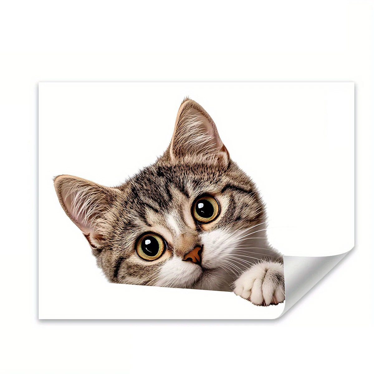Cat Peeking Window Wall Sticker | Funny Home Decoration Decal alternate view