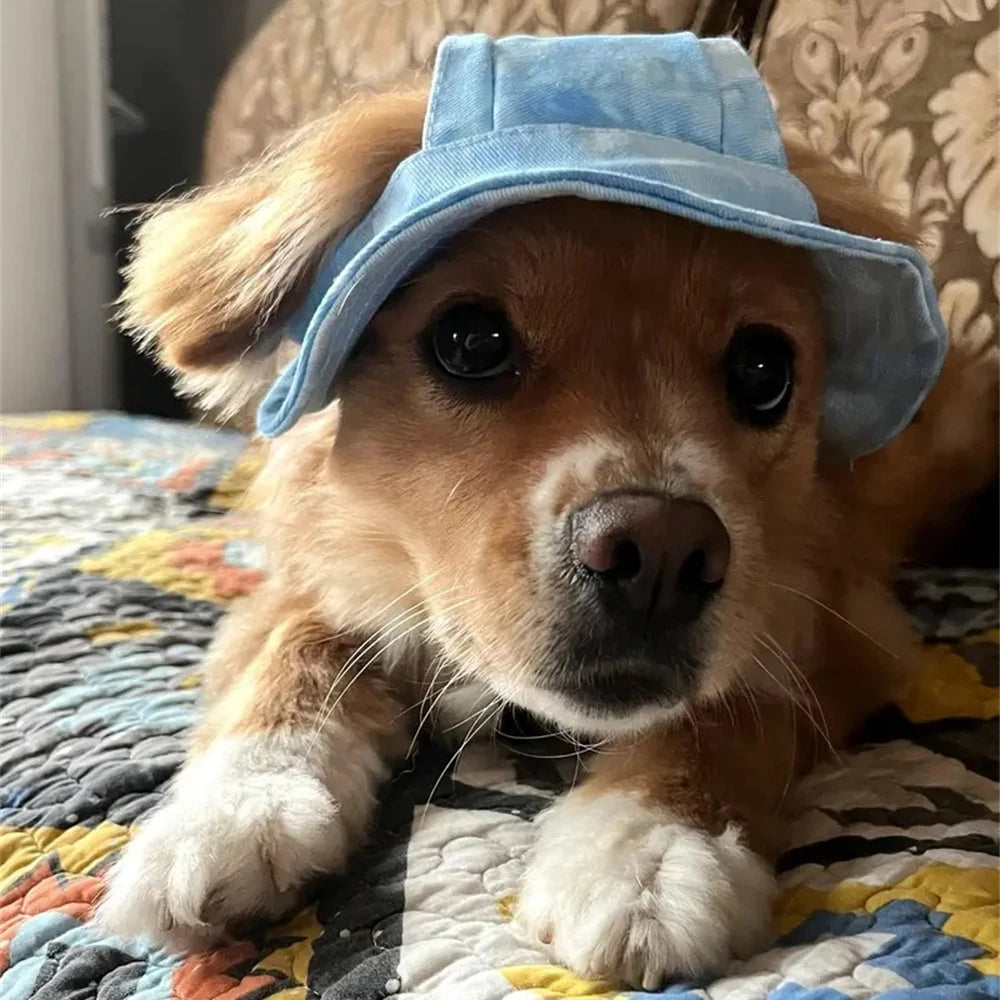 Breathable Pet Sun Hat | Cooling Shade for Small Dogs and Cats additional angle