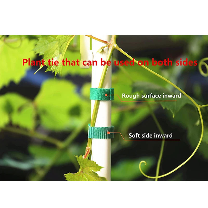 Ties Nylon Plant Bandage Garden Hook Loop Bamboo Cane Wrap Support Garden additional angle